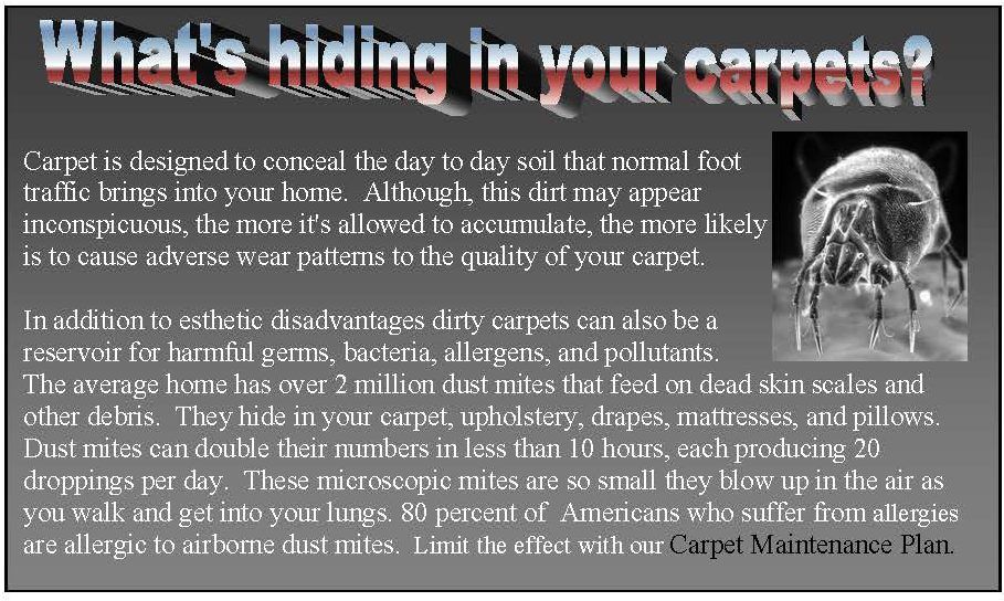 A picture of the back of a poster with some information about carpet cleaning.